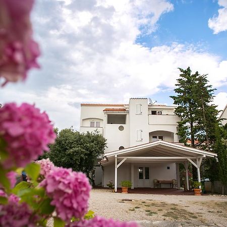 Apartments Ostrea - Mimoza Novalja Exterior foto